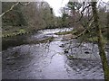 River Roe