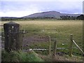 Inisconagher Townland