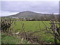 Derryware Townland