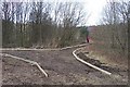 Footpath Improvement in Cromwell Bottom Nature Reserve