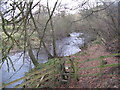 The River East Allen near Kittygreen (3)