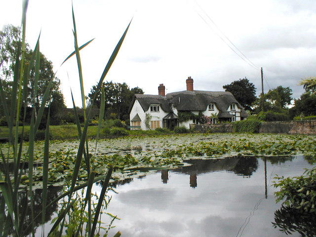 Pond & thatched cottage at Badger
