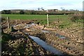 Muddy Field Entrance