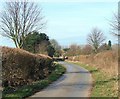 The lane into Waterstock