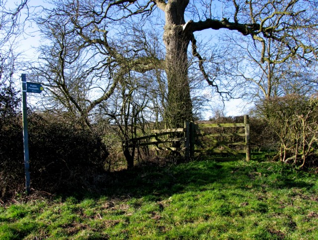 Gate to the fields
