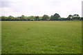 Meadows near Rushbeds wood