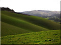 Looking towards Butser Hill from Park Hill, East Meon