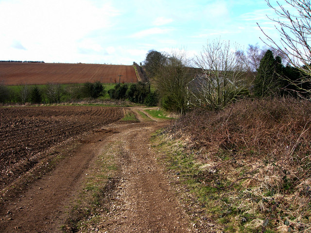 Track near to Park Cottages