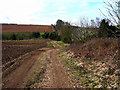 Track near to Park Cottages