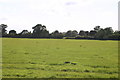 Footpath near Briarhill