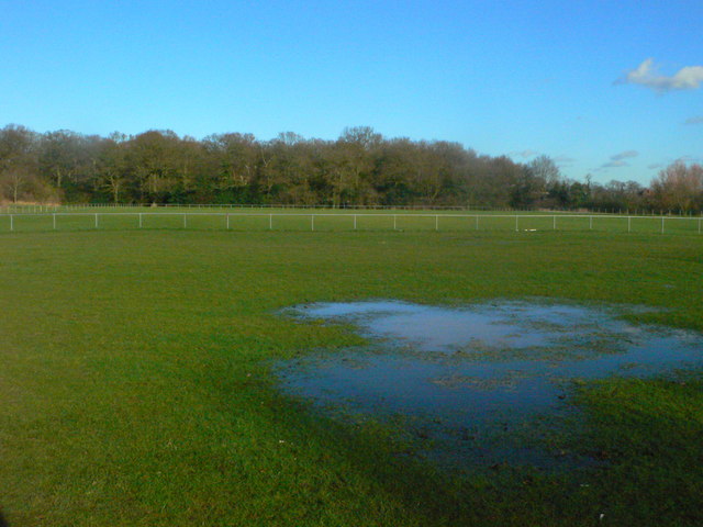 Hillfield Park and Widney Woods