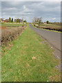 Straight road through Tirley Knowle