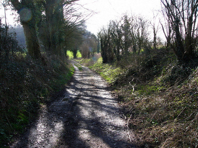 Pidham Lane, near Ramsdean