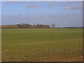 Farmland, Berinsfield