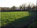 Field at Higher Tredundle