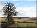 Track and pastures above Whitelees (2)