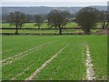 Farmland, Stoke Talmage