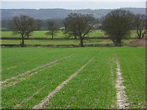 SU6898 : Farmland, Stoke Talmage by Andrew Smith