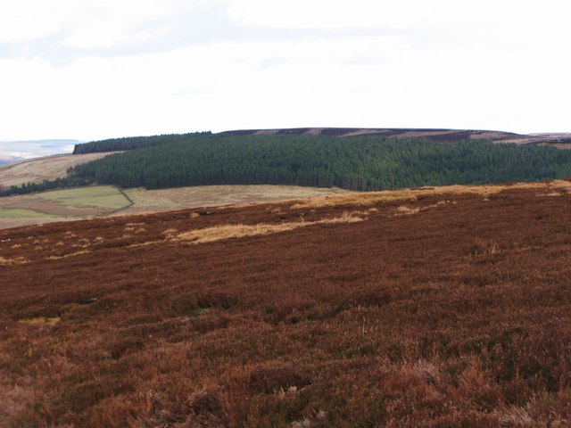 Hunstanworth Moor