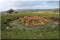 Castercliff  Camp Hillfort