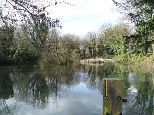 The Pond at the Lawns