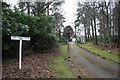 The avenue to Loch Na Bo House