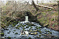 Water gushes from the overflow of the Dry Loch