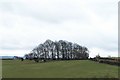 View to top of Jawbone Hill from Skew Hill Lane