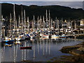 The Marina at Tarbert