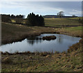 Pond at Southwoods Hall