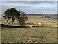 Pastures above Whitelees