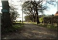 Public footpath to Fox Street