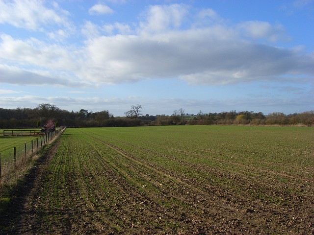 Farmland, Pyrton
