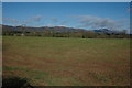 Farmland at Little Welland