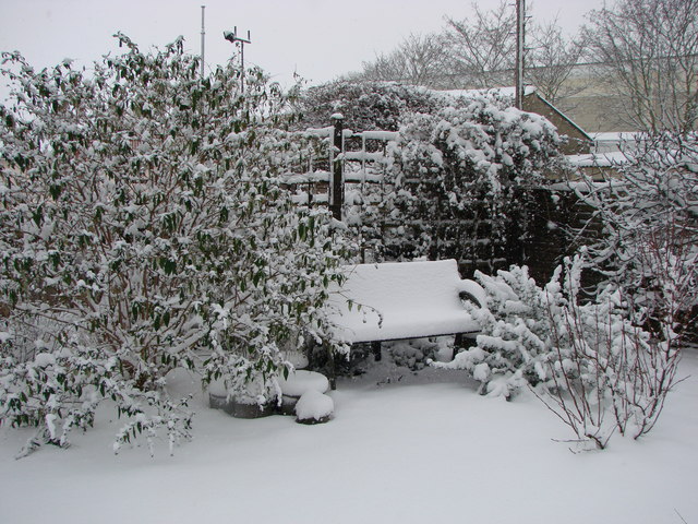 Back Garden in Winter