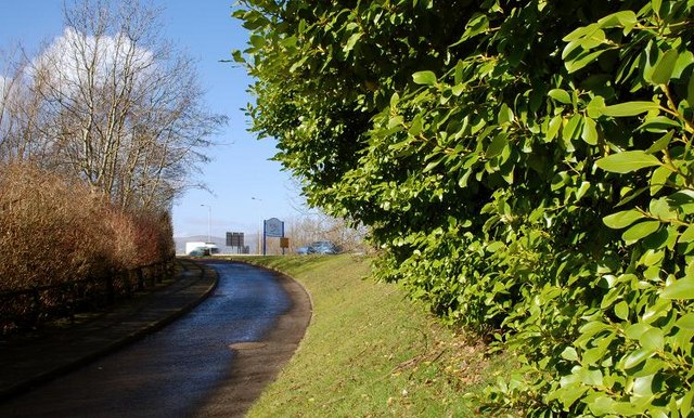 Cycle paths, Tillysburn (1)