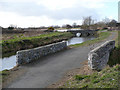 Reen in Hendre Lake Park