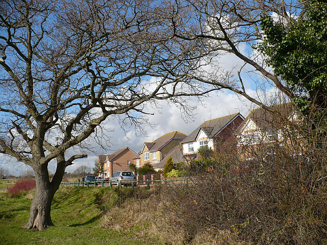 Houses in Water Avens Close, Cardiff