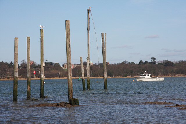 Mooring posts in the River Orwell
