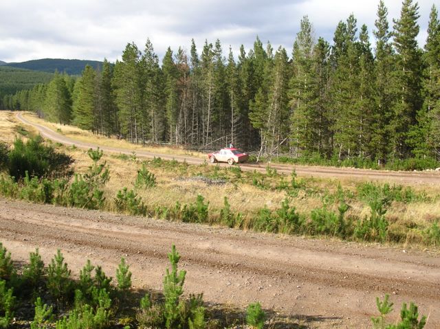 Forestry tracks in Errochty Forest
