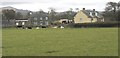 Cattle at Garth-y-glo Farm