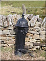 19th C cast iron water hydrant