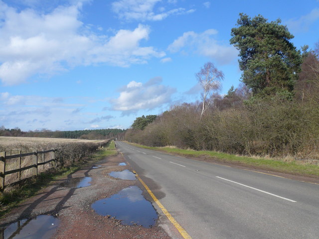 Sherwood Forest - Swinecote Road (B6034)