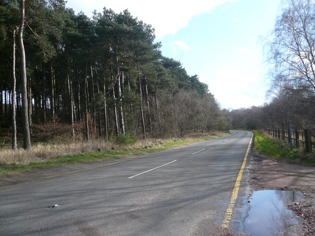 Sherwood Forest Swinecote Road B6034 © Alan Heardman Cc By Sa20 Geograph Britain And 7698