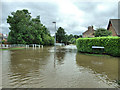 Butcher Bridge & Foot Bridge June 2007