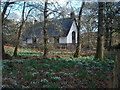 Pitcastle Church at snowdrop time