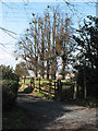 Footpath at Bartestree