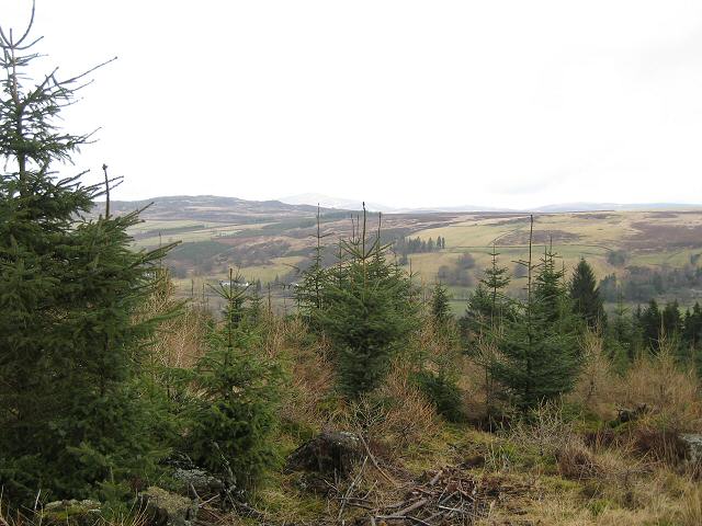 From Blackcraig Forest