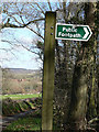 Looking past sign towards Grealy Quarry (disused)