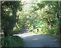 The hairpin bend on the hill above Cymer Abbey